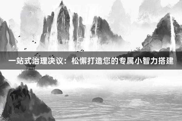 一站式治理决议：松懈打造您的专属小智力搭建