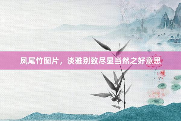 凤尾竹图片，淡雅别致尽显当然之好意思